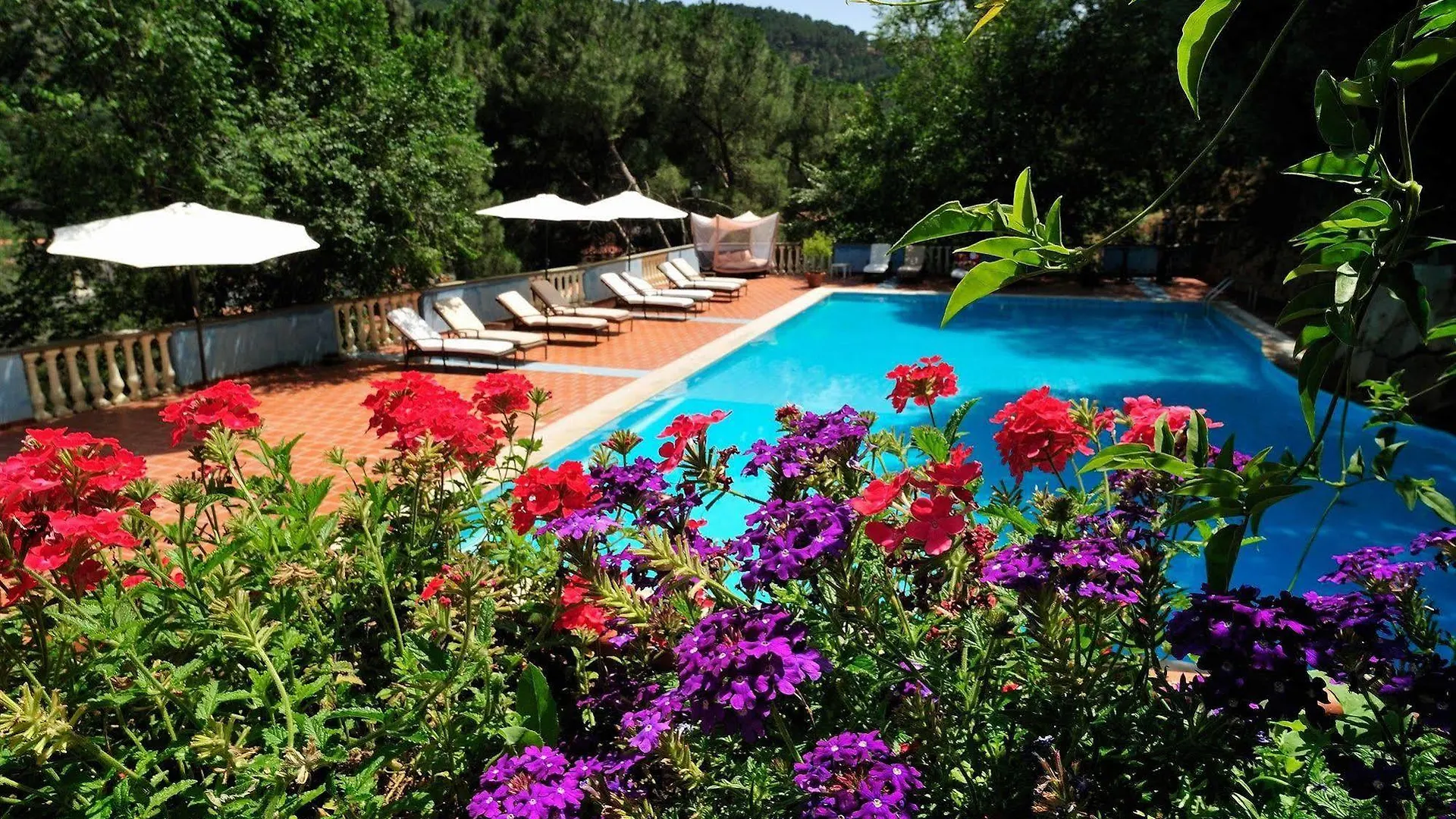 Hotel Su Lithu Bitti